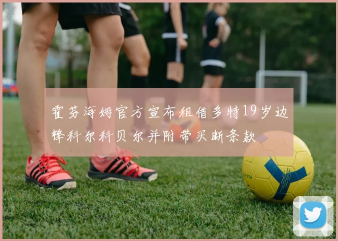 霍芬海姆官方宣布租借多特19岁边锋科尔科贝尔并附带买断条款