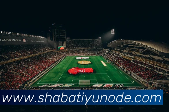 沙巴体育APP 封面图