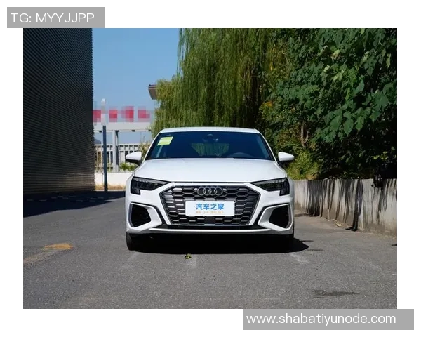 奥迪：在自我探索的旅程中不断接近完美与神性